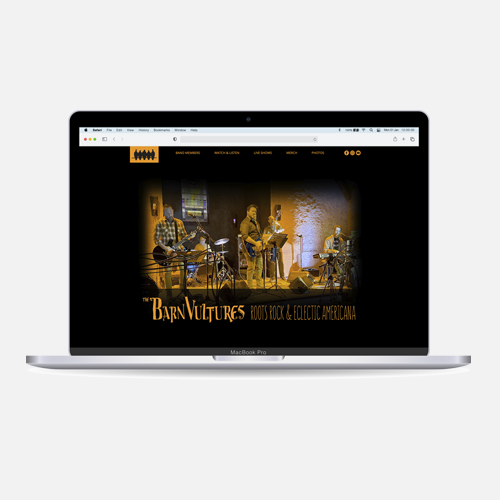 Website for the Barn Vultures band